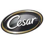 Cesar