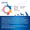 Monge VetSolution Dog Hepatic сухой корм для взрослых собак всех пород при заболеваниях печени #3