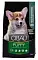 Farmina Cibau Puppy Medium сухой корм для щенков средних пород с курицей