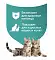 Organix (Elite+) наполнители впитывающий для кошек с ароматом атлантический бриз, элитный #7