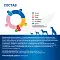 Monge VetSolution Dog Gastrointestinal Puppy сухой корм для щенков всех пород при заболеваниях ЖКТ #3