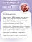 Best Dinner Holistic Monoprotein Adult Medium/Maxi Lamb & Quinoa сухой корм для взрослых собак средних и крупных пород с ягненком и киноа #3