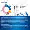 Monge VetSolution Dog Joint Mobility сухой корм для взрослых собак всех пород при заболеваниях суставов #3