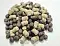 ЗООМИР сухой корм для парковых уток, плавающий #3