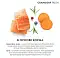 Grandorf FRESH сухой беззерновой корм для взрослых собак крупных пород с живыми пробиотиками, лосось с бататом #3