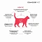 Grandorf Veterinary Diet Cat Hepatic полнорационный диетический сухой корм для кошек, для поддержания функции печени при ХПН #5